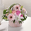 Basket Of Love