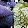 Cabbage Head