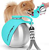 Collapsible Travel Bowl