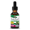 Nature's Answer Sage - Alcohol Free - 1 Oz