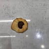 Chinese Cookie