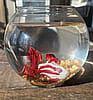 Hand-sculpted borosilicate glass scarlet and white Forever Fish with bowl
