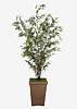 Faux Bamboo Tree