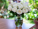 White Rose Arrangement