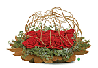 Rose Revelation