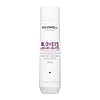 Dualsenses Blondes and Highlights Shampoo