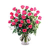 Two Dozen Pink Roses