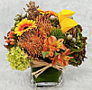 Yellow and Orange Mix