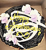 Marble Cheesecake