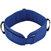 Heavy Duty Gait Belt 36" Blue