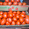 Roma Tomatoes