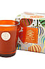 Lux Heirloom Pumpkin 8oz. Designer Box Candle