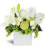 Citrus Breezes