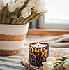 Andaluca 11oz Fig & Aged Amber Tortoise Soy Blend Candle
