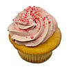 Vanilla Cupcake