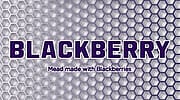 WA Meadwerks Blackberry