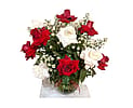 Red and White