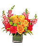 Dynamic Colors Bouquet