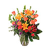 Coral Extravagance