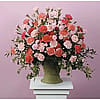 Carnation Tribute