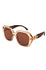 Powder Limited Edition Cosette Sunglasses Rose