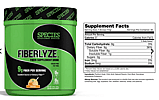 FIBERLYZE: Fiber Supplement