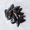 PEI Mussels