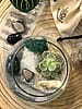 Energy + Vitality Terrarium Kit with Crystal Set