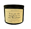 You Are the Spaghetti to my Meatball Candle