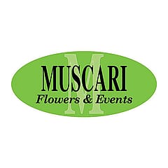 Muscari Flowers and Events