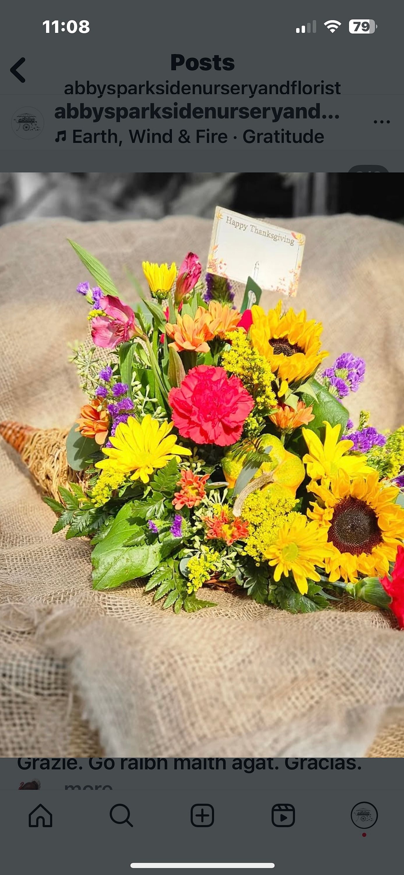 Thanksgiving cornucopia 