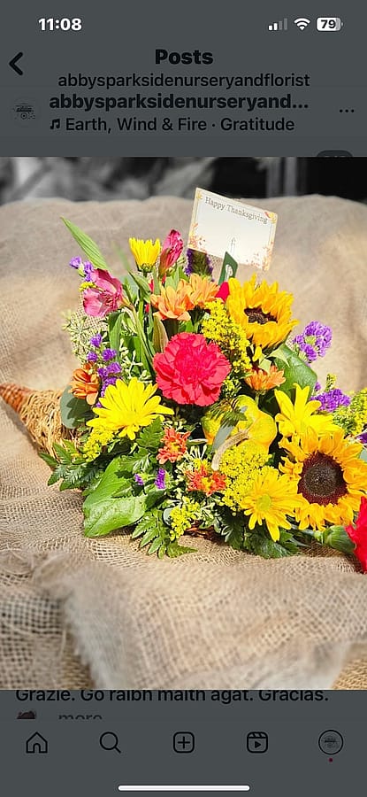 Thanksgiving cornucopia 