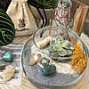 Good Luck Terrarium Kit with Crystal Set
