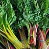 Swisshchard Bunches - 15 ct