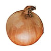 Jumbo Yellow Onions - 1 lb