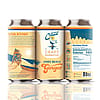 Coastal Craft Kombucha Jones Beach Ginger