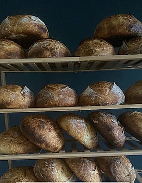 Organic Sourdough 
