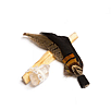 Feather Fan Palo Santo Gift Set
