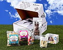 Kilwins Easter Assortment Box