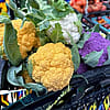 Cauliflower - 10 lb box