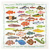 Printed Image Pacific Coast Fishes Bandanna