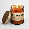 Joshua Tree Candle