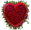 Red Heart 