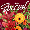 Fall Special - Designer's Choice