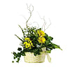Get Well Dish Garden