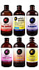 Total Flavor 12-Pack (All 6 Flavors)