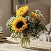 Sunny Arrangement