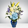 Sweet Serene