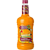 Master of Mixes Mango Margarita Mixer