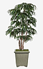 Faux Weeping Ficus Tree